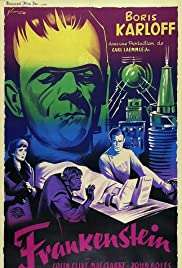 Frankenstayn / Frankenstein türkçe dublaj izle