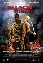 Falcon Rising türkçe dublaj izle