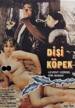 Dişi Köpek 1980 yeşilçam erotik izle