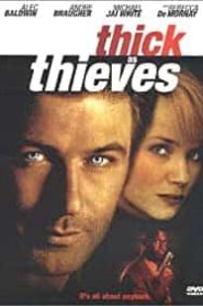 Son Haydut / Thick as Thieves izle