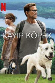 ﻿Kayıp Köpek izle