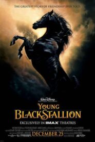 Young Black Stallion Türkçe Dublaj Full izle