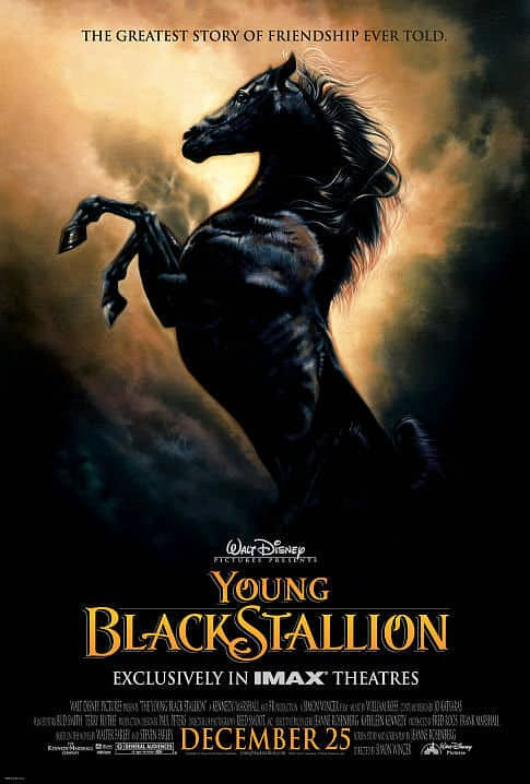 Young Black Stallion Türkçe Dublaj Full izle